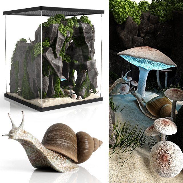 snails house 3D 모델 .c4d .max .obj .3ds .fbx .stl .blend 
