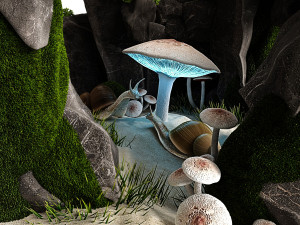 snails house 3D 모델