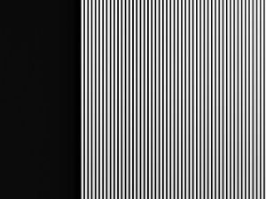 narrow planks 3Dモデル