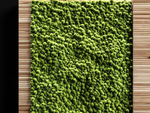 vertical garden and planks 2 3D 模型