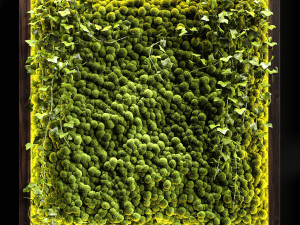 vertical garden moss modules 4 Model 3D