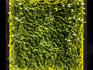 vertical garden moss modules 4 3D Model
