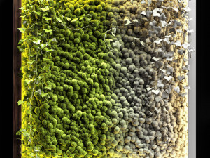 vertical garden moss modules 4 Model 3D