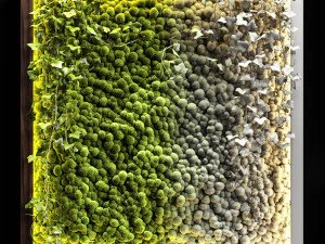 vertical garden moss modules 4 3D Model