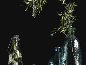 table settings with olive branch 3D मॉडल