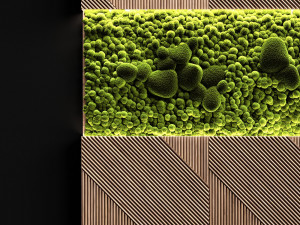 wooden panels and stabilized moss 3D Model