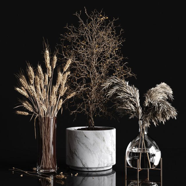 dry plants collection 3D 模型 .c4d .max .obj .3ds .fbx .stl .blend 