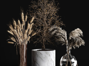 dry plants collection 3D Model