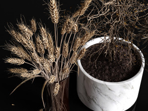 dry plants collection 3D 模型
