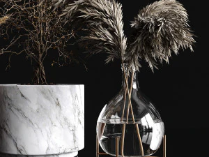 dry plants collection 3D Model