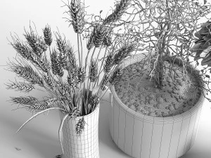 dry plants collection 3D Model