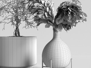 dry plants collection 3D 模型