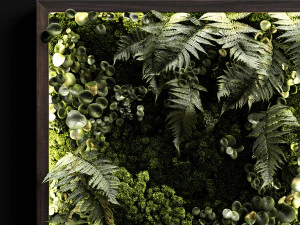 vertical gardens 3D Model