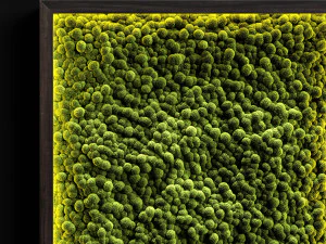 vertical gardens 3D Model