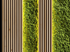 vertical garden and planks 2 3D मॉडल
