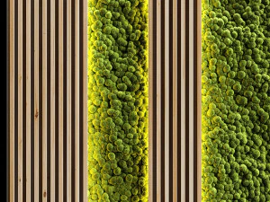 vertical garden and planks 2 3D Model