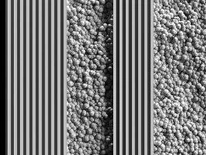 vertical garden and planks 2 3D Model