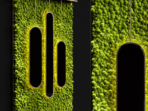 stabilized moss and mirrors 3D Model