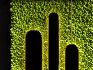 stabilized moss and mirrors 3D Model