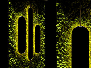 stabilized moss and mirrors 3Dモデル