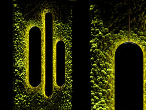 stabilized moss and mirrors 3D Model