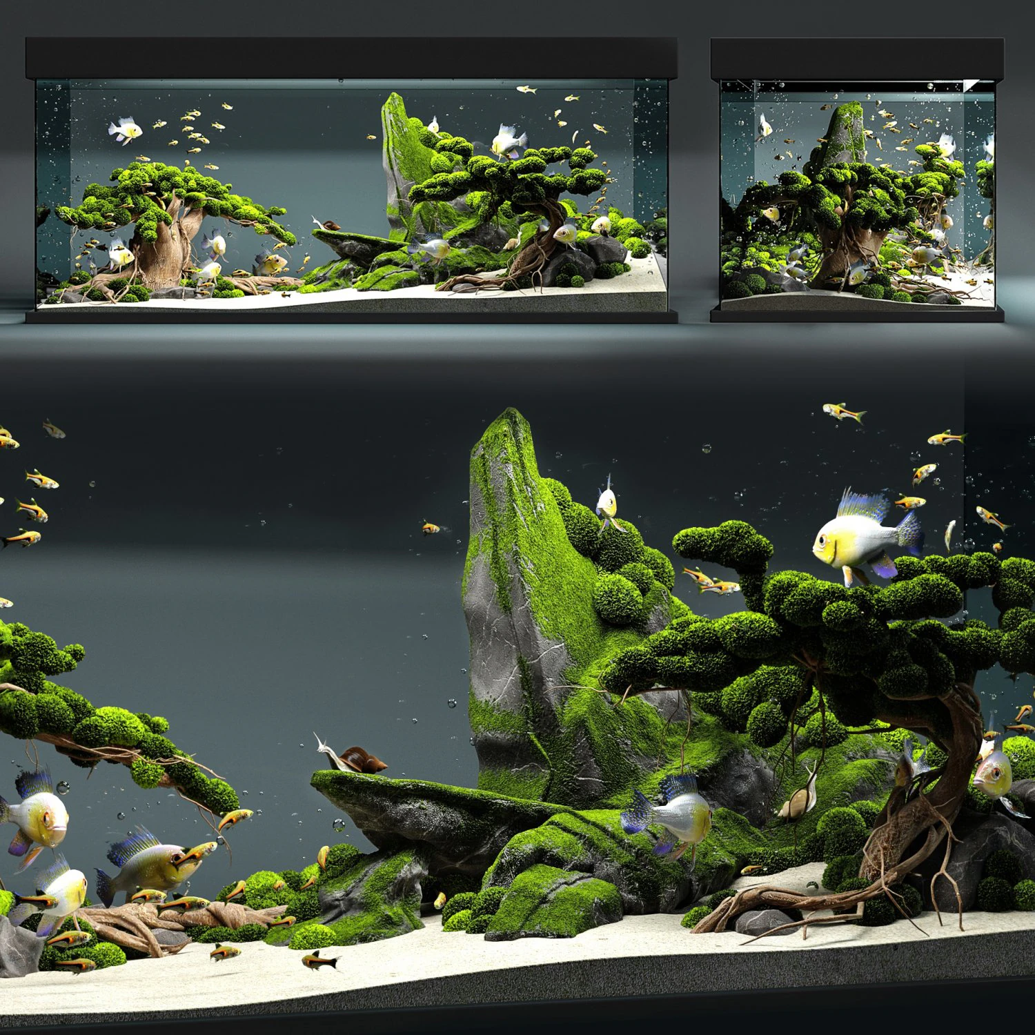 aquarium snail king 3D Model .c4d .max .obj .3ds .fbx .stl .blend 