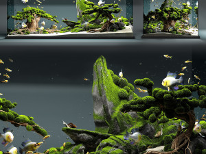 aquarium snail king 3D Model