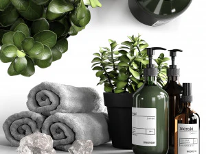 bathroom decorative set with salt 3D Model