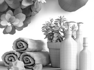 bathroom decorative set with salt 3D Model