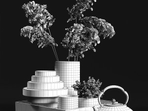 decorative set with dry plants 3 Model 3D
