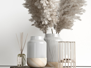 decorative set with dry plants 4 3D 模型