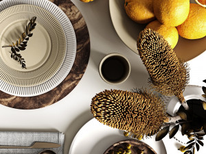table setting with oranges 3D Model