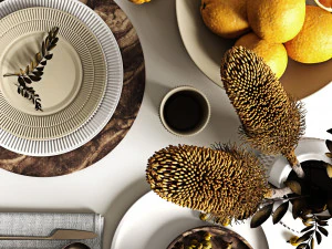table setting with oranges 3D Model
