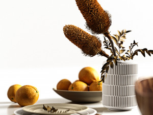 table setting with oranges 3D Model