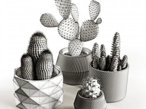 cactus collection 3D Model