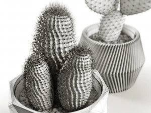 cactus collection 3D Model