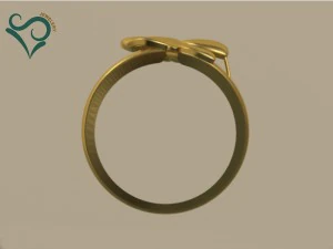 golden ring 3d print model 3D Print Model