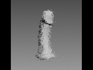 3d scanned realistic model of a penis 3D Print Model