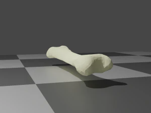 単純な骨 3Dモデル