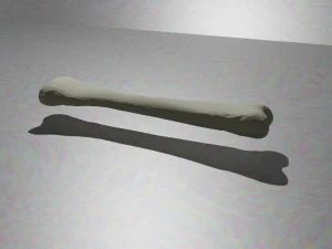 Simple bone 3D Model