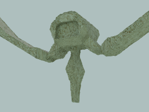 Vertebra with symmetrical ribs 3D Model