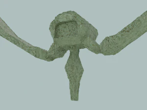 Vertebra with symmetrical ribs 3D Model