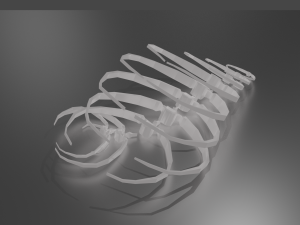 Set of vertebrae with ribs 3D Model