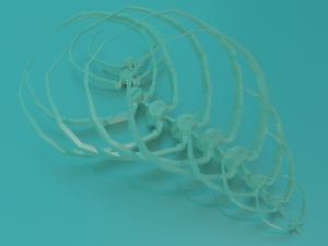 Set of vertebrae with ribs 3D Model