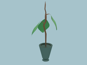 Plant in the pot 3D Model