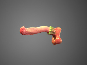 Battle Unicorn dildo Modèle 3D