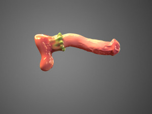 Battle Unicorn dildo Modèle 3D