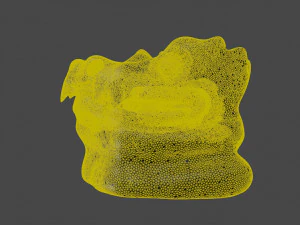 Dragon head 3D Model
