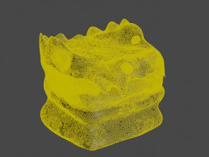Dragon head 3D Model