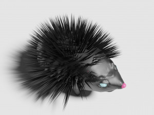 Black night hedgehog Modello 3D